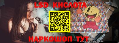 шишки Будённовск