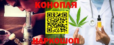 шишки Будённовск