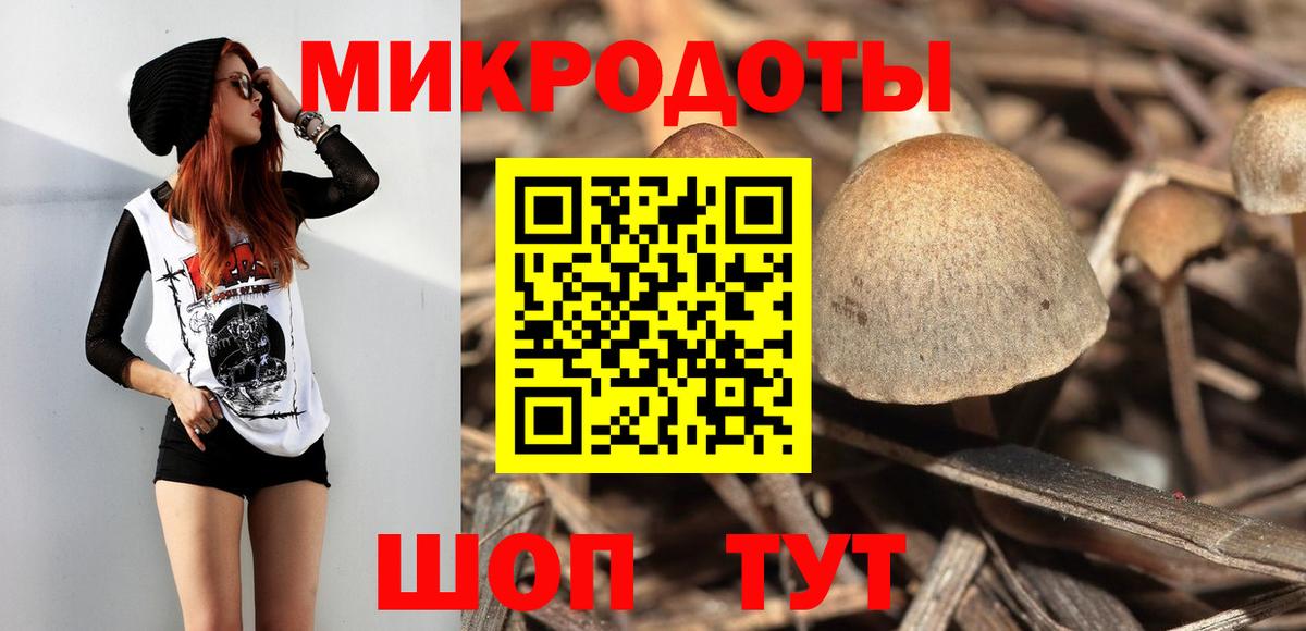 Мурино  Галлюциногенные грибы Psilocybine cubensis  Вход с VPN 