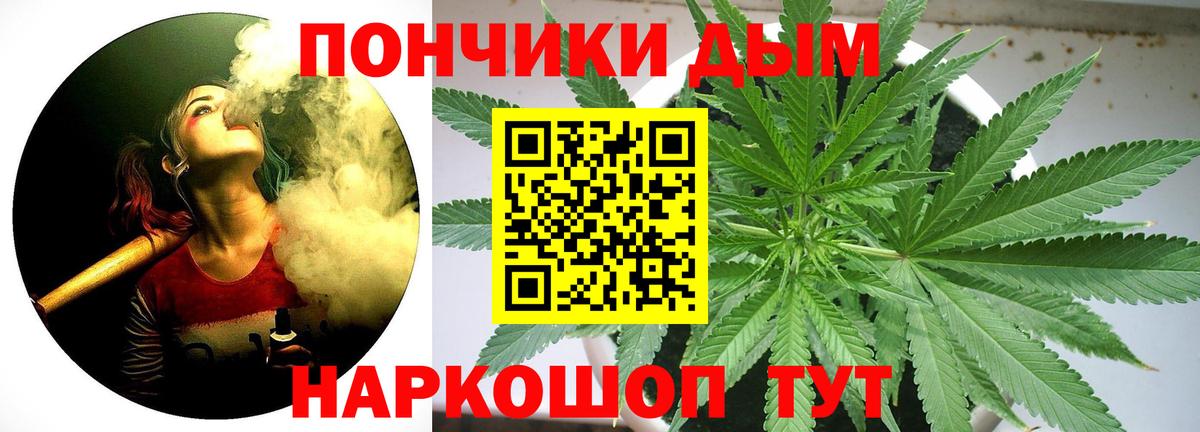 Бошки марихуана VHQ  Марихуана индика  Мурино  Вход с VPN  МАРИХУАНА ГИДРОПОН  Конопля OG Kush 